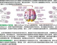 越来越天赋优势测评中用到的“皮纹测试”科学依据(组图)