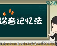 记忆和遗忘是紧密联系的，30秒内你能记下来吗？