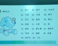 （学员风采）一位资深高中生的学习记忆法