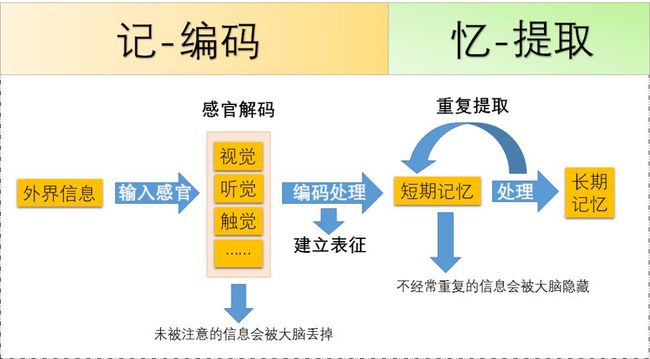 （提高右脑记忆）记忆记忆宫殿记忆（宫殿）