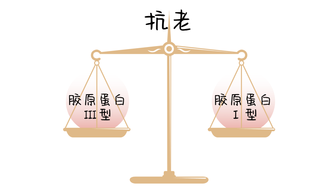 《学仙必成》开卷诫条陈撄宁先生手稿篇